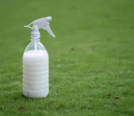 2. En dónde se puede utilizar una fumigación ecológica