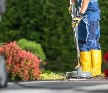 3. Como se realiza el Desbroce y Limpieza de una Parcela, Jardín, Solar o Terreno