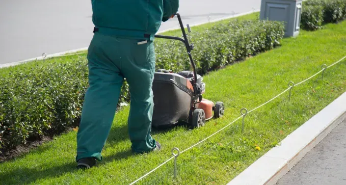 3. Jardineros por Horas en Toledo