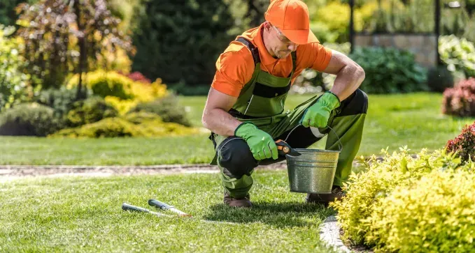 Mantenimiento de Jardines en Toledo