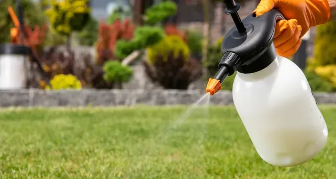Mantenimiento de Jardines, plagas en Toledo